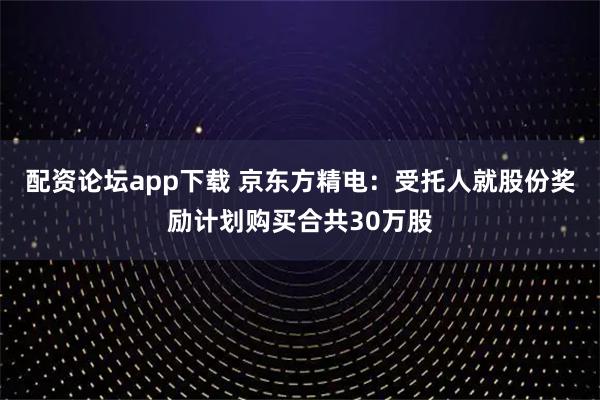 配资论坛app下载 京东方精电：受托人就股份奖励计划购买合共30万股